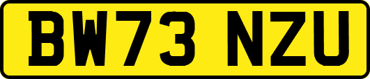 BW73NZU