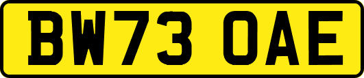 BW73OAE