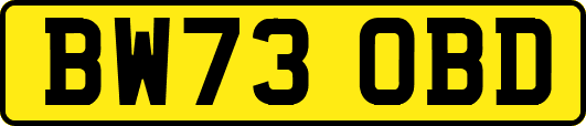 BW73OBD