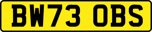 BW73OBS