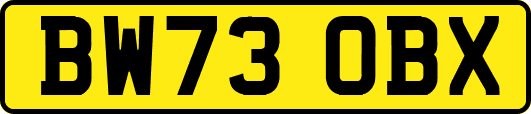 BW73OBX