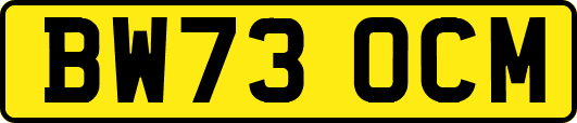 BW73OCM