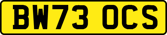 BW73OCS
