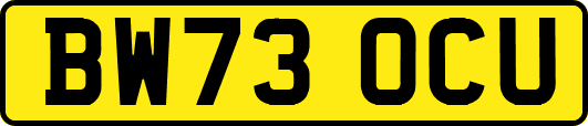 BW73OCU