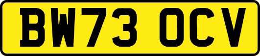 BW73OCV
