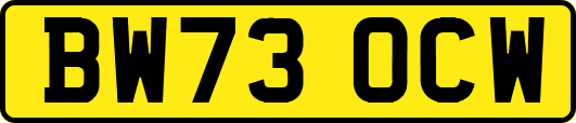 BW73OCW