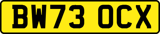 BW73OCX