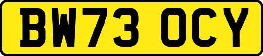 BW73OCY