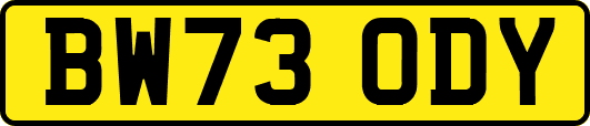 BW73ODY