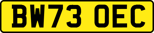 BW73OEC