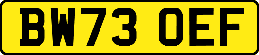 BW73OEF