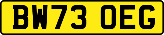 BW73OEG