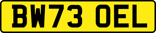BW73OEL