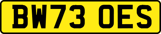 BW73OES