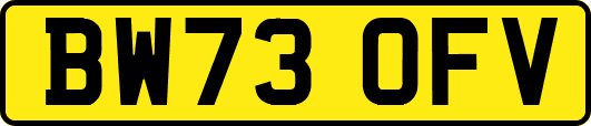 BW73OFV