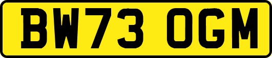 BW73OGM