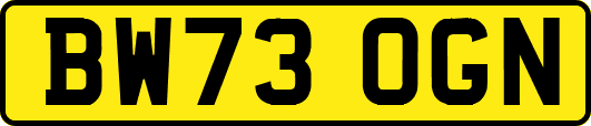 BW73OGN