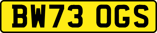 BW73OGS