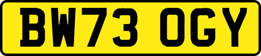 BW73OGY