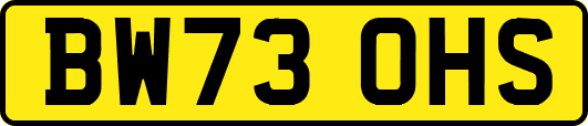 BW73OHS