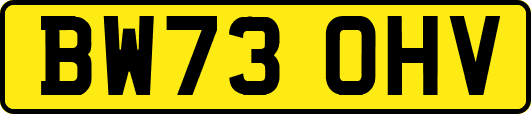 BW73OHV