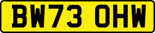 BW73OHW