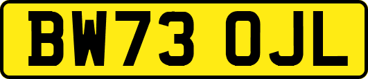 BW73OJL