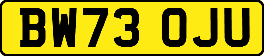 BW73OJU