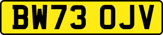 BW73OJV