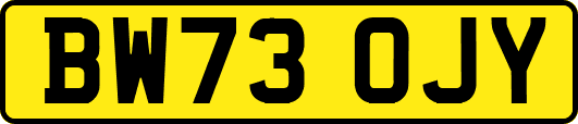 BW73OJY
