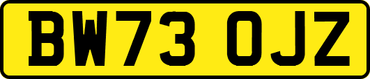BW73OJZ