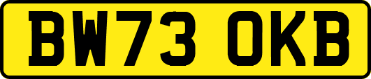 BW73OKB