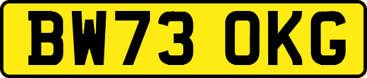 BW73OKG