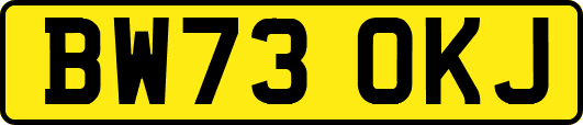 BW73OKJ