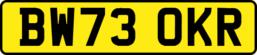 BW73OKR