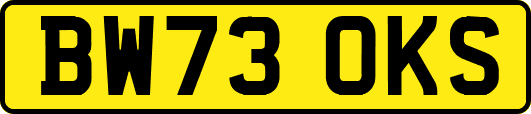BW73OKS