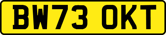 BW73OKT