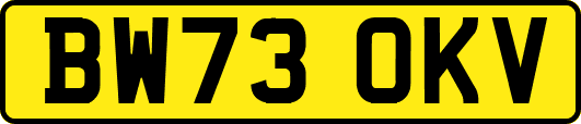 BW73OKV