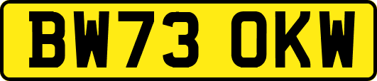 BW73OKW