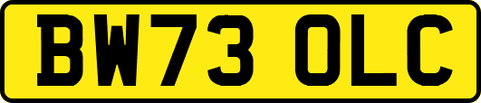 BW73OLC