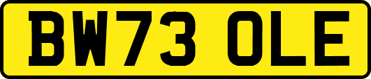 BW73OLE