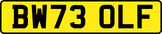 BW73OLF