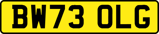 BW73OLG