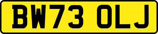 BW73OLJ