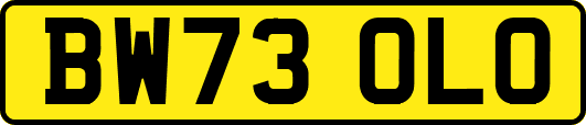 BW73OLO
