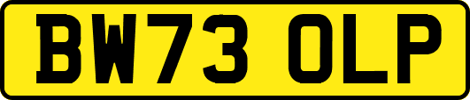 BW73OLP