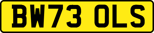 BW73OLS