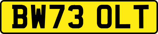 BW73OLT