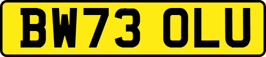 BW73OLU