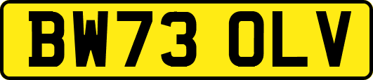 BW73OLV